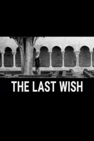 The Last Wish (2024) Hindi Dubbed